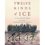 Twelve Kinds of Ice