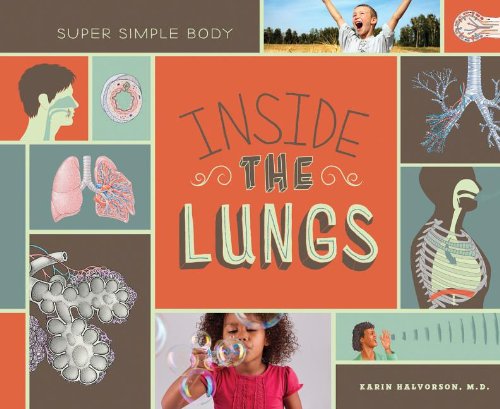 Inside the Lungs by M.D. Halvorson Karin