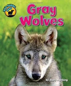 Gray wolves