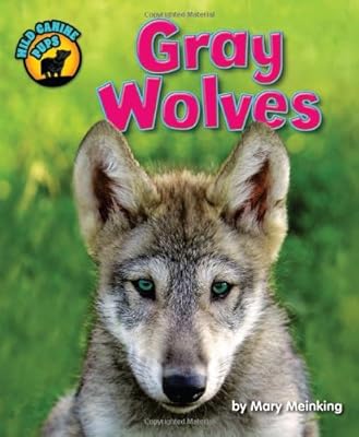 Gray Wolves
