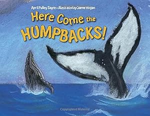 Here Come the Humpbacks!