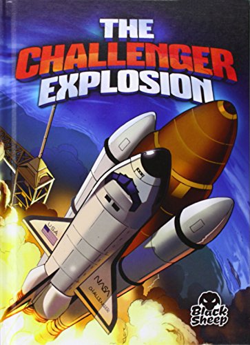 The Challenger Explosion by Adam Stone
