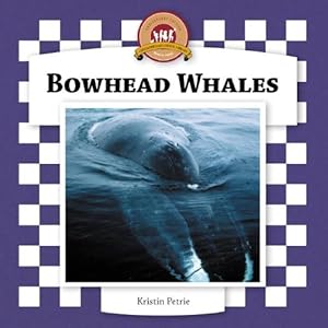 Bowhead Whales (Whales Set II)