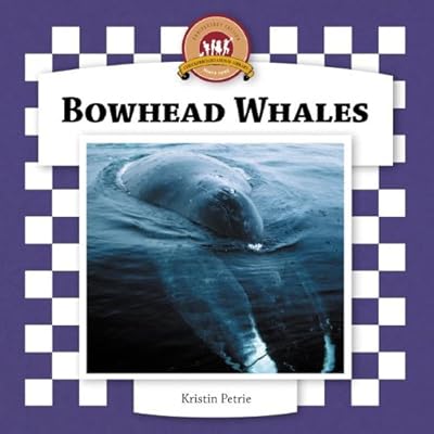 Bowhead Whales (Whales Set II)