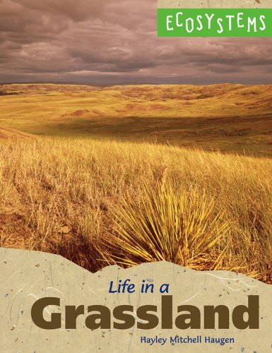Ecosystems - Life in a Grassland by Hayley Mitchell Haugen