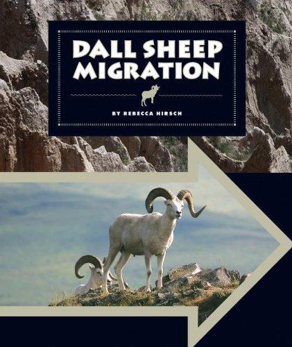 Dall Sheep Migration by Rebecca Hirsch