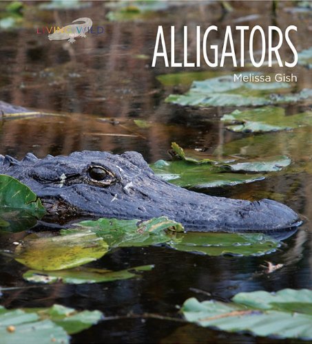 Alligators by Melissa Gish