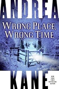 Wrong Place, Wrong Time: A Novel