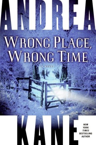 Wrong Place, Wrong Time: A Novel by Andrea Kane