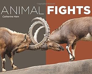 Animal Fights by Catherine Ham