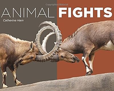 Animal Fights