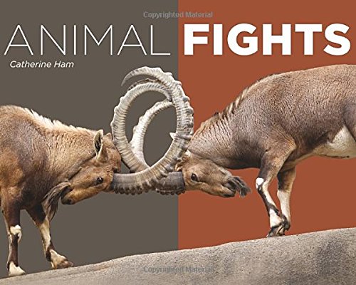 Animal Fights by Catherine Ham