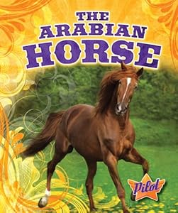 The Arabian Horse