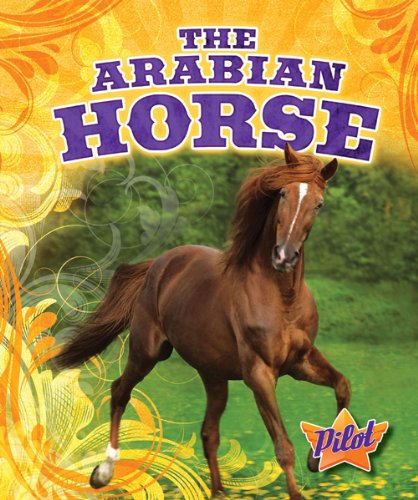 The Arabian Horse by Sara Green