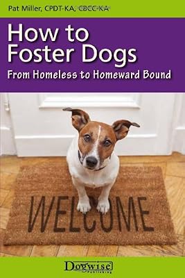 How to Foster Dogs: From Homeless to Homeward Bound