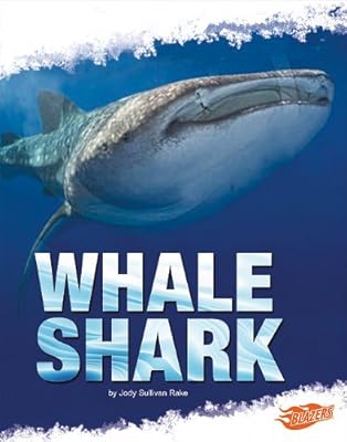 Whale Shark