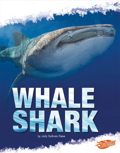 Whale Shark by Deborah Nuzzolo