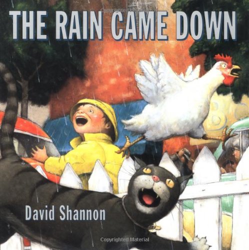 The Rain Came Down by David Shannon