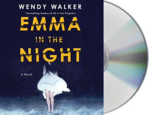 Emma in the Night: A Novel by Wendy Walker