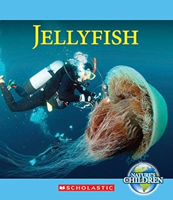 Jellyfish