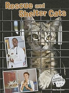 Rescue and Shelter Cats