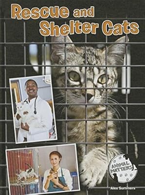 Rescue and Shelter Cats