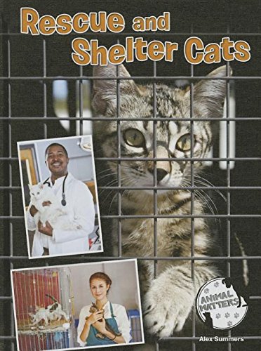 Rescue and Shelter Cats by Alex Summers