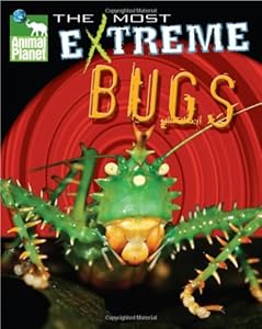 Animal Planet The Most Extreme Bugs (Animal Planet Extreme Animals)
