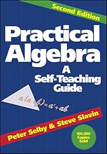 Practical Algebra: A Self-Teaching Guide, Second Edition by Peter H. Selby