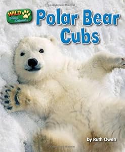 Polar Bear Cubs