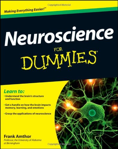 Neuroscience For Dummies (For Dummies (Lifestyles Paperback)) by Frank Amthor