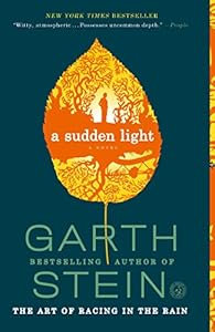 A sudden light : a novel