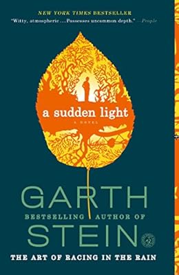 A sudden light : a novel