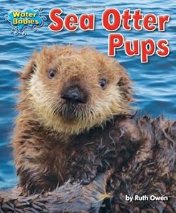 Sea Otter Pups