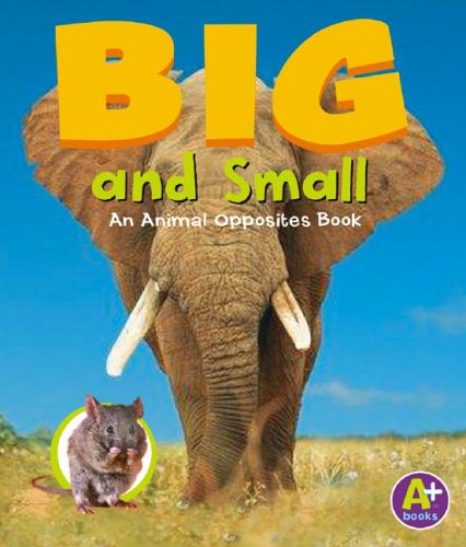 Big and Small: An Animal Opposites Book by Gail Saunders-Smith