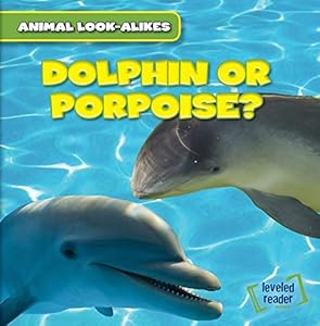 Dolphin or Porpoise?