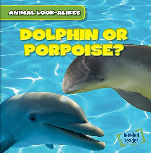 Dolphin or Porpoise? by Rob Ryndak