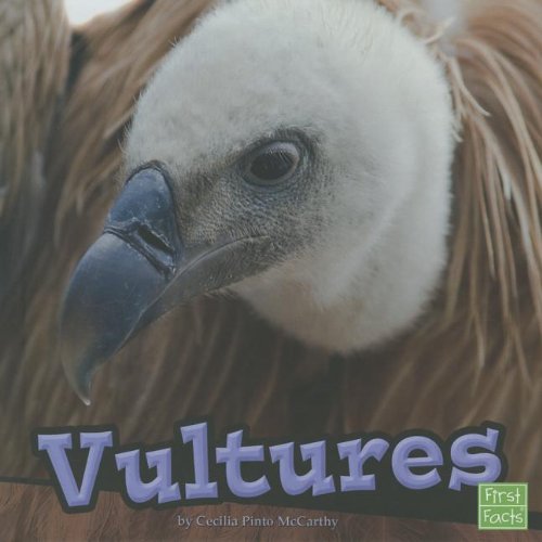 Vultures by Cecilia Pinto McCarthy