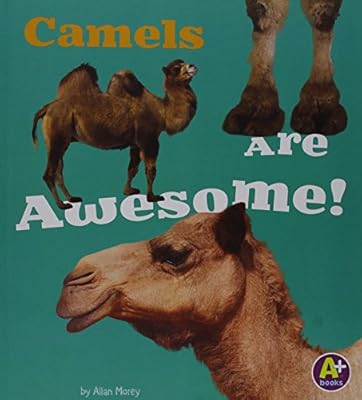 Camels Are Awesome!
