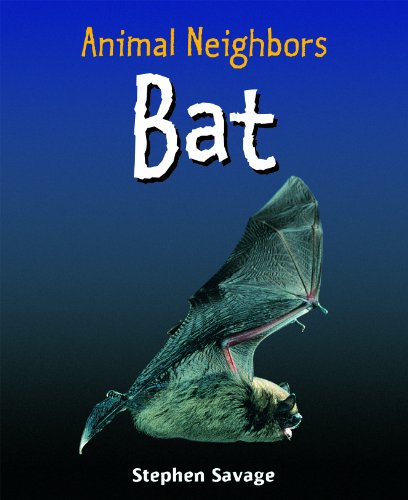 Bat (Animal Neighbors) by Stephen Savage