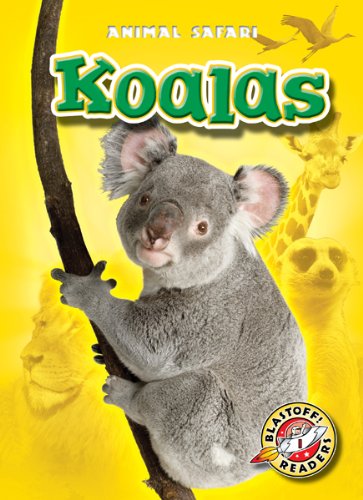 Koalas by Kari Schuetz