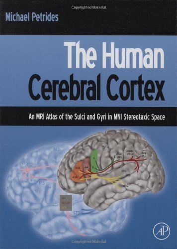 The Human Cerebral Cortex: An MRI Atlas of the Sulci and Gyri in MNI Stereotaxic Space by Michael Petrides