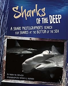 Sharks of the Deep: A Shark Photographer's Search for Sharks at the Bottom of the Sea
