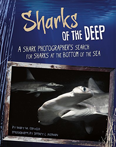 Sharks of the Deep: A Shark Photographer's Search for Sharks at the Bottom of the Sea by Mary M Cerullo