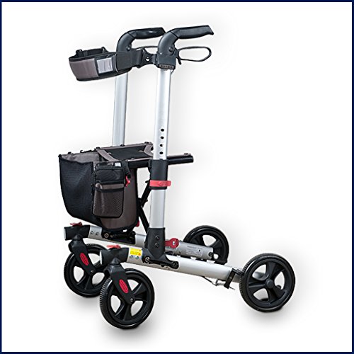 Algopix Similar Product 5 - WheelzAhead Double Foldable Track 30