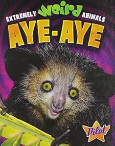 Aye-Aye