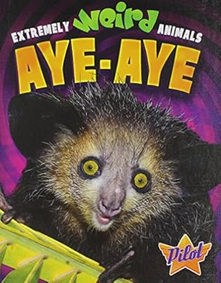 Aye-Aye