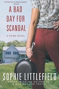 A Bad Day for Scandal: A Crime Novel