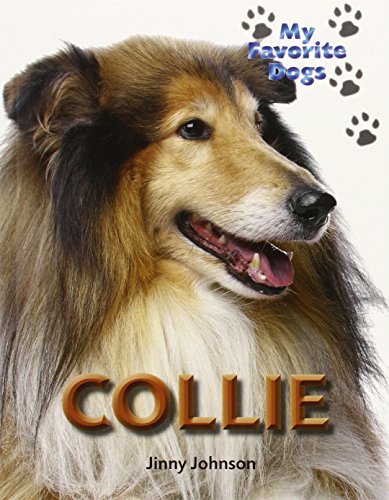 Collie by Jinny Johnson