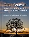 Bible Verses - Alzheimer's / Dementia / Memory Loss Activity Book for Patients and Caregivers